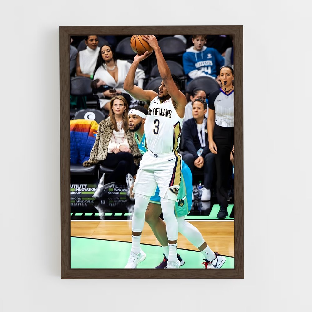 Poster Mccollum Basketball (vue 5)